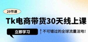 （9463期）Tk电商带货30天线上课，不可错过的全球流量洼地（29节课）-黑马创业网