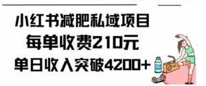 （9466期）小红书减肥私域项目每单收费210元单日成交20单，最高日入4200+-黑马创业网