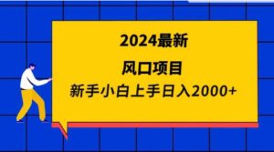 （9483期）2024最新风口项目新手小白日入2000+-黑马创业网