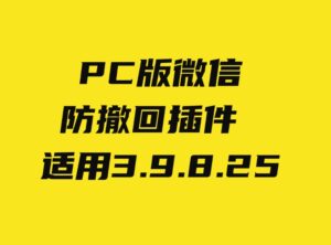 PC微信防撤回插件适用3.9.8.25-黑马创业网