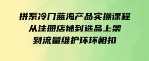 （9527期）拼系冷门蓝海产品实操课程，从注册店铺到选品上架到流量维护环环相扣-黑马创业网
