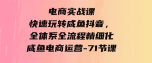 （9528期）电商实战课，快速玩转咸鱼抖音，全体系全流程精细化咸鱼电商运营-71节课-黑马创业网