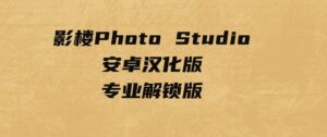 影楼PhotoStudio安卓汉化版–专业解锁版-黑马创业网