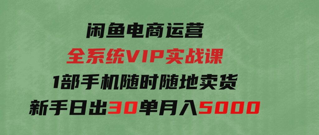 （9547期）闲鱼电商运营全系统VIP实战课，1部手机随时随地卖货，新手日出30单月入5000-黑马创业网