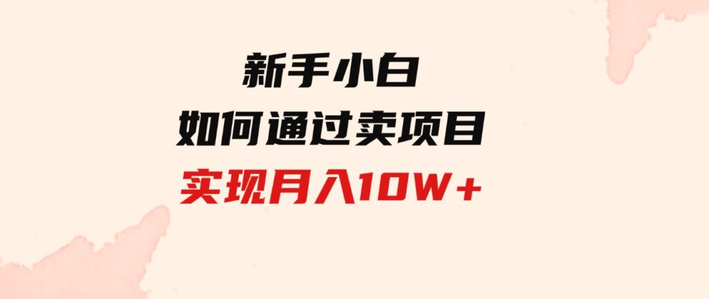 （9556期）新手小白如何通过卖项目实现月入10W+-黑马创业网