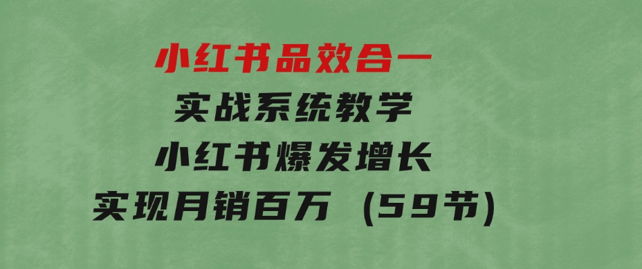 小红书品效合一实战系统教学：小红书爆发增长，实现月销百万(59节)-黑马创业网