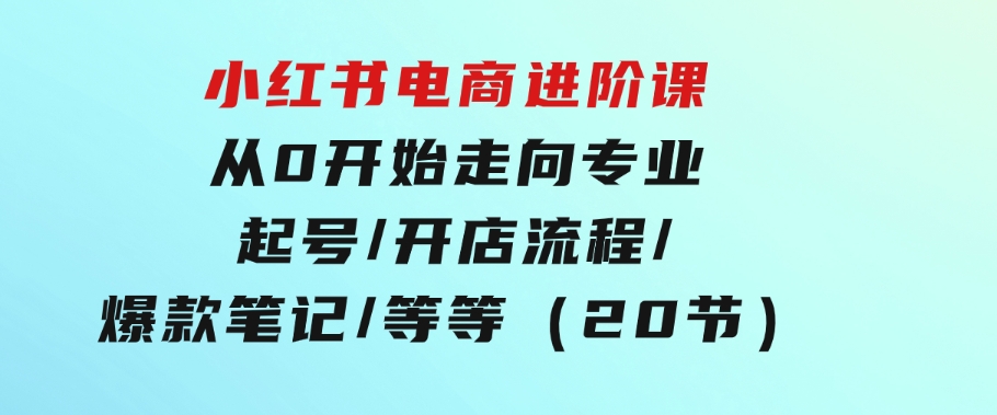小红书电商进阶课：从0开始走向专业起号/开店流程/爆款笔记/等等（20节）-黑马创业网