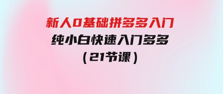 新人0基础拼多多入门，​纯小白快速入门多多（21节课）-黑马创业网