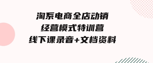淘系电商全店动销经营模式特训营，线下课录音+文档资料-黑马创业网
