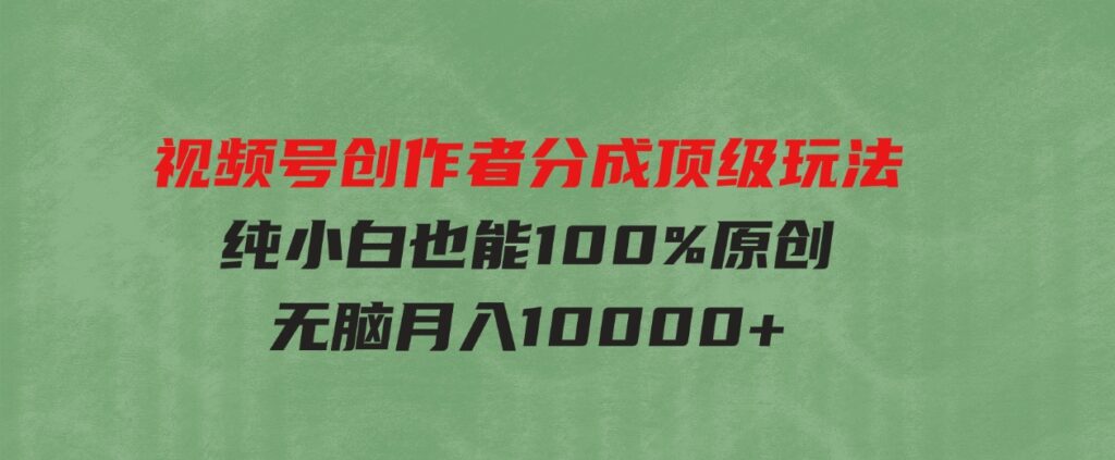 （9608期）视频号创作者分成顶级玩法，纯小白也能100%原创，无脑月入10000+-黑马创业网