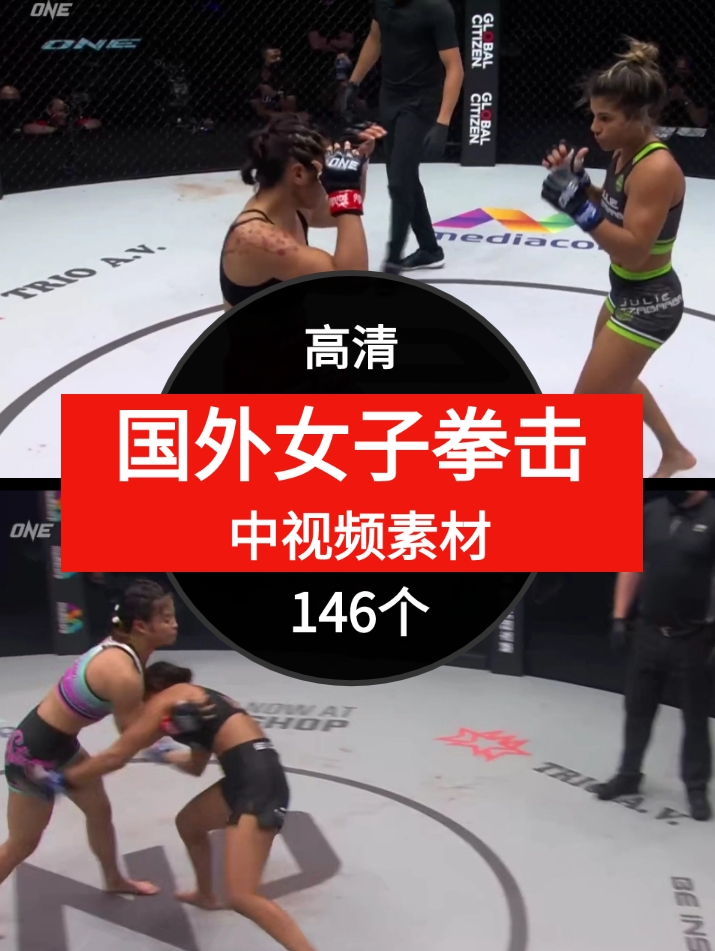 国外女子拳击视频素材中视频素材-146个-黑马创业网