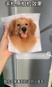 抖音手工羊毛毡项目，小成本副业，年赚100W的蓝海项目-黑马创业网