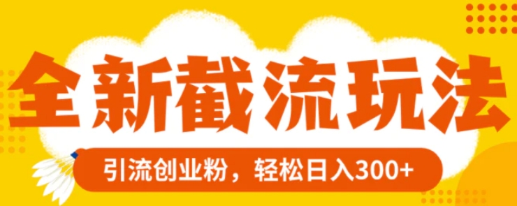 全新截流玩法，精准引流创业粉，轻松日入300+-黑马创业网