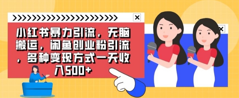 小红书暴力引流，无脑搬运，闲鱼创业粉引流，多种变现方式一天收入500-黑马创业网