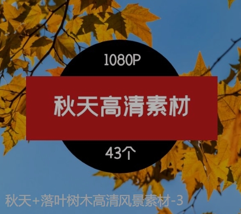 秋天+落叶树木高清风景素材-3-黑马创业网