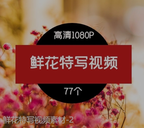 鲜花特写视频素材-2-黑马创业网