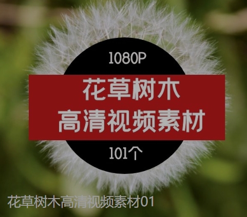花草树木高清视频素材01-黑马创业网
