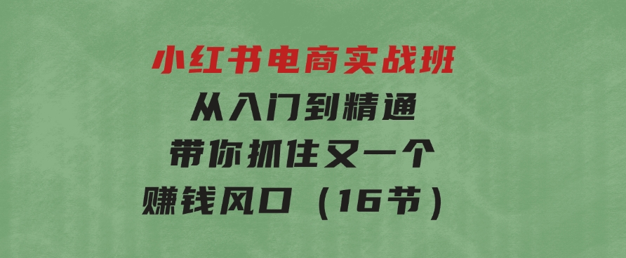 小红书电商实战班，从入门到精通，带你抓住又一个赚钱风口（16节）-黑马创业网