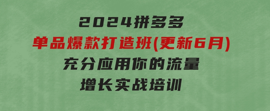 2024拼多多-单品爆款打造班(更新6月)，充分应用你的流量，增长实战培训-黑马创业网