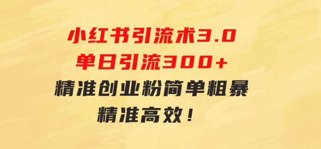 24年最新小红书引流术3.0，单日引流300+精准创业粉，简单粗暴，精准高效！-黑马创业网