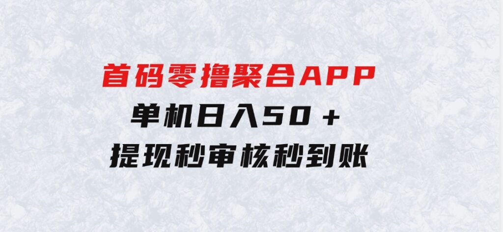 2024首码零撸聚合APP，单机日入50＋，提现秒审核秒到账-黑马创业网