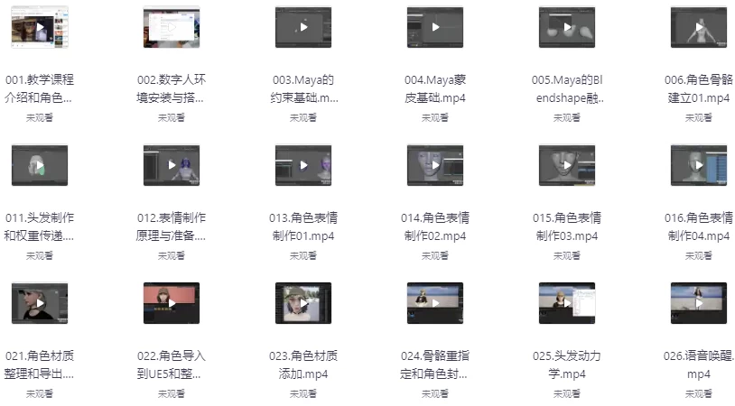 AI虚拟数字人智能体-UE5实时语音交互2025–带素材-黑马创业网
