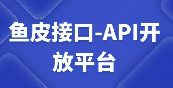 鱼皮接口-API开放平台课程-黑马创业网