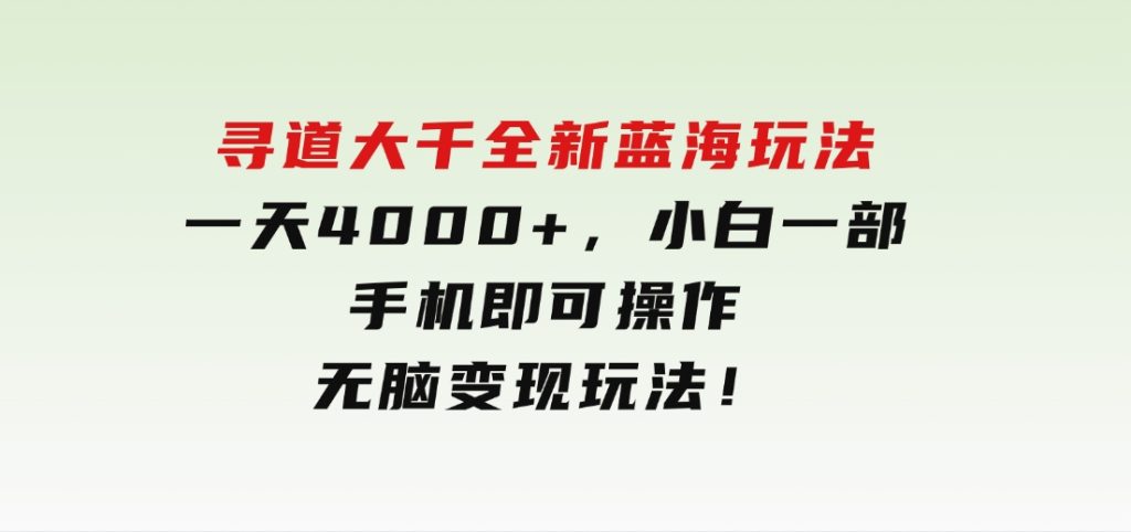 寻道大千全新蓝海玩法，一天4000+，小白一部手机即可操作，无脑变现玩法！-黑马创业网